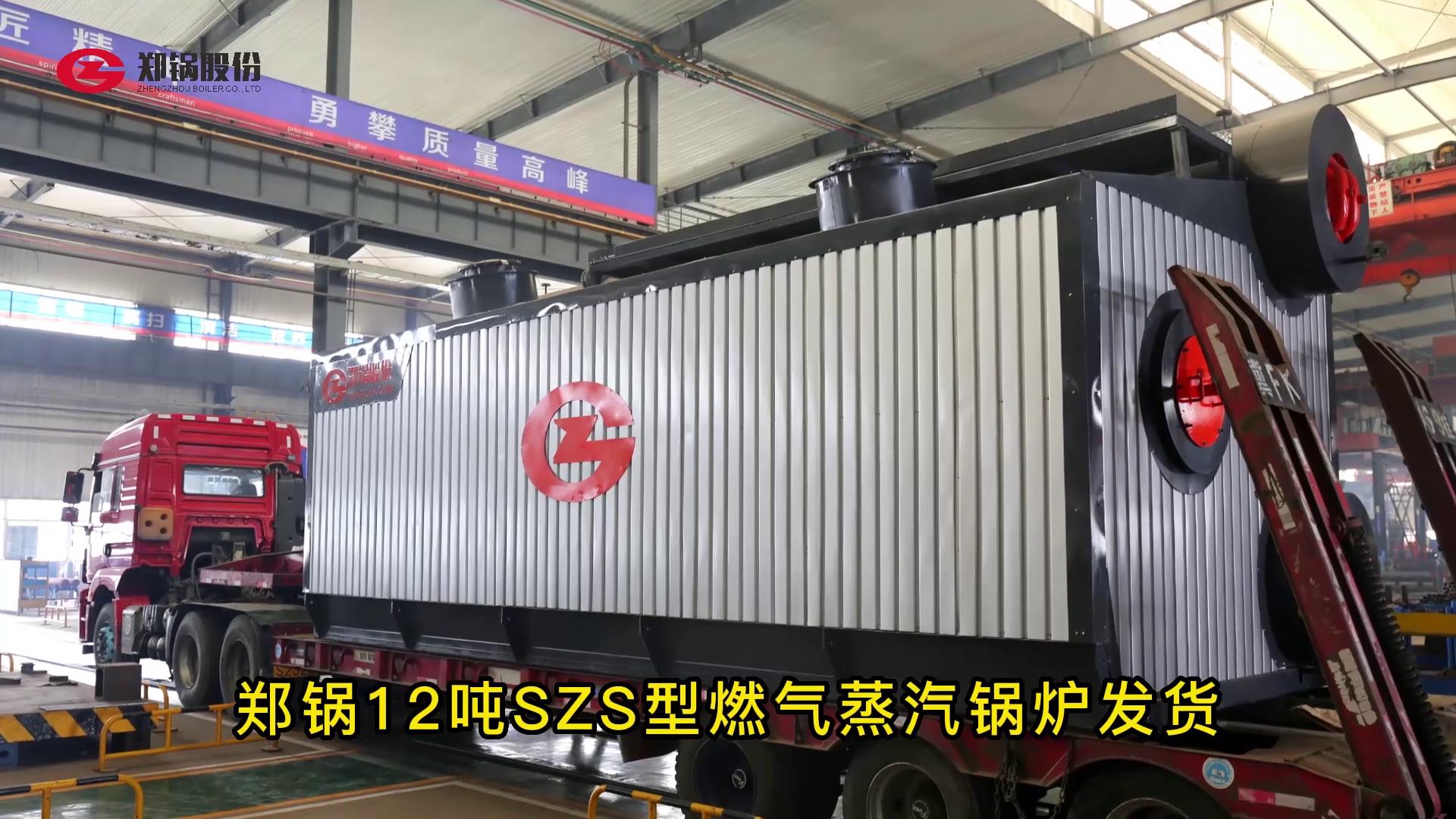 Z6尊龙凯时12吨燃气锅炉发货
