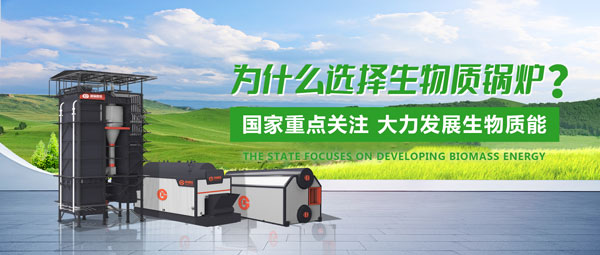 Z6尊龙凯时生物质锅炉：绿色发展的“时代之选”