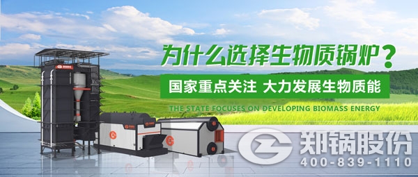 Z6尊龙凯时生物质锅炉.jpg