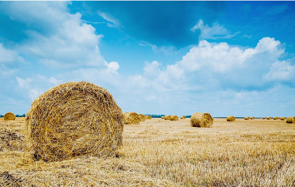 最新利好政策出台：2021年生物质发电中央补贴25亿元