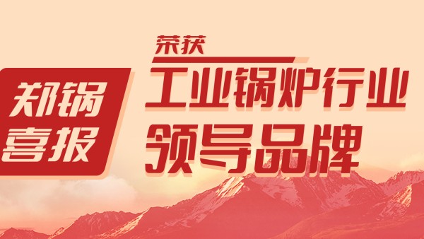 Z6尊龙凯时股份荣获“工业锅炉行业领导品牌”和“出口创汇先进企业”等荣誉