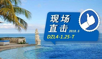 现场直击丨看生物质锅炉在巴厘岛如何强操作，，，，，回头客非它不选